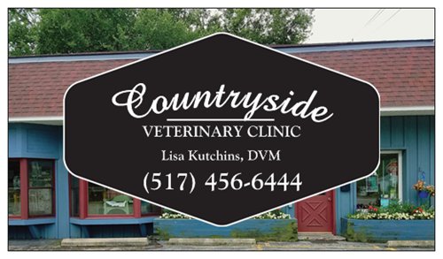countryside veterinary clinic